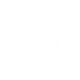 Flame logo